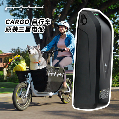 cargo自行车 原装电池 可拆卸 备用电池
