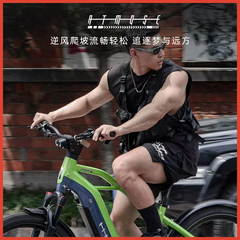 ATMOSE美国品牌星马系列高端锂电纯力矩助力电助力自行车