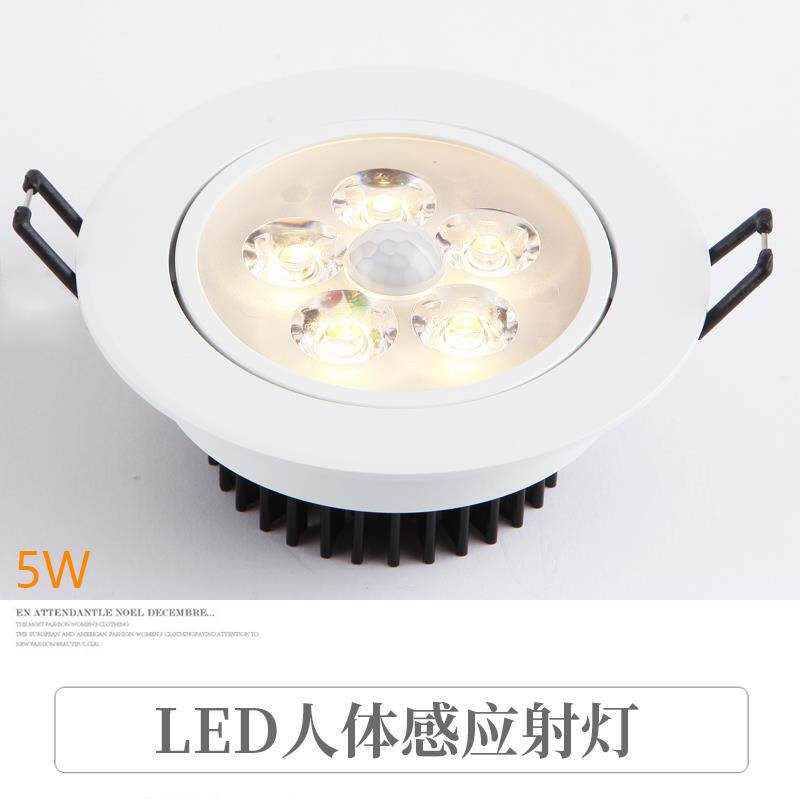 LED人体红外感应玄关 入户 走廊 酒店过道客房门入户工程感应射灯