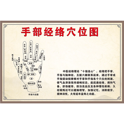 手部经络穴位图海报展板手臂内侧手臂外侧下肢后部下肢前部墙贴