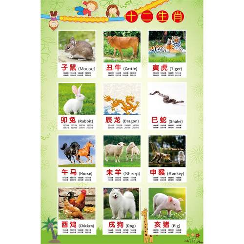 十二生肖海报墙贴墙纸贴纸挂图装饰画展板KT板