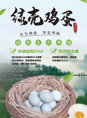 印刷设计制作定做农家土鸡蛋绿壳鸡蛋鸡蛋笨鸡蛋标签贴纸大尺寸
