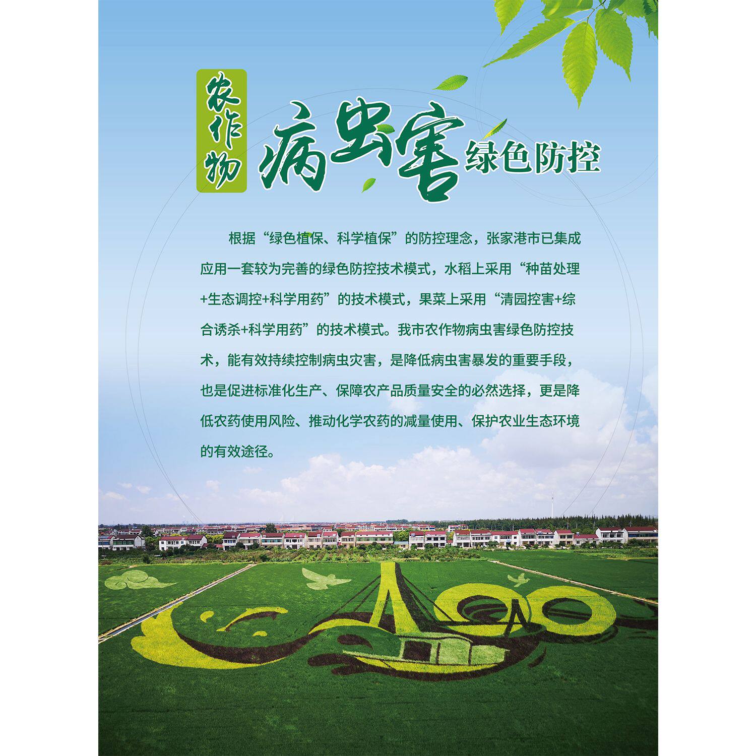 常见农作物病虫害图谱作物缺素症农田杂草识别彩色图小麦种子海报