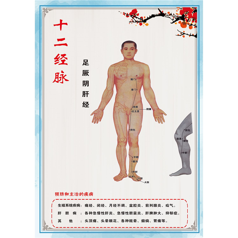 十二经脉原穴与络穴表海报阴经阳经五输穴表贴纸经络穴位学习自粘