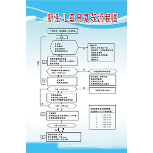 新生儿室息复苏流程图海报展板新生儿室息复苏墙贴墙纸装饰画KT板