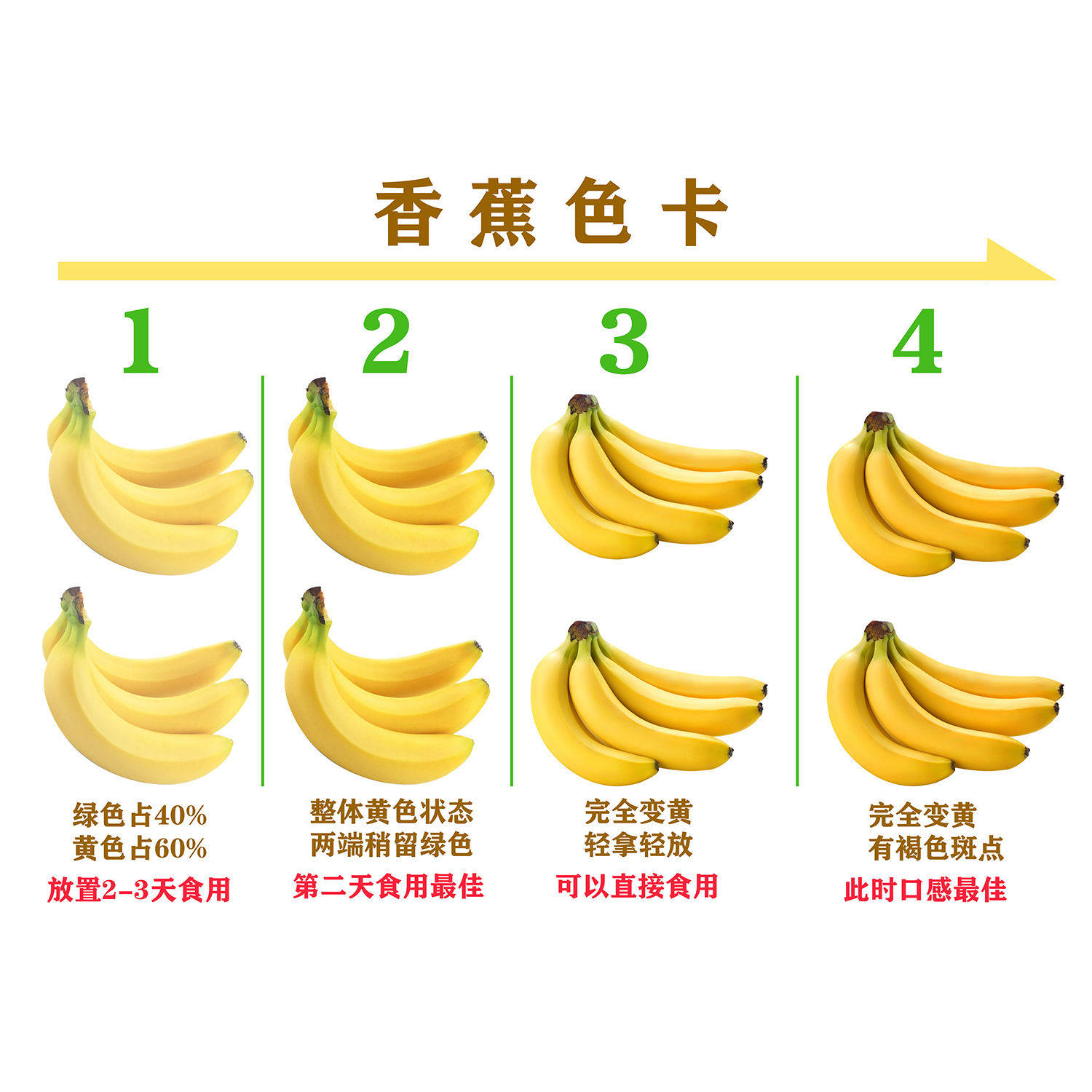 香蕉色卡海报展板广东本地群蕉荟萃有机大香蕉天然香蕉墙贴墙纸