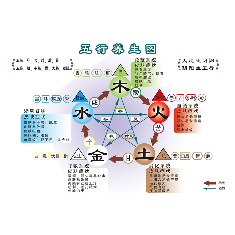 五行养生图海报展板五行脏腑经络关系图墙贴墙纸装饰画KT板,个性定制/设计服务/DIY,写真/海报印制,淘宝优惠券,粉丝福利购,淘宝优惠卷