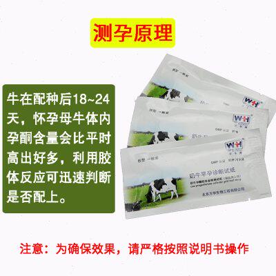 热销母牛测孕纸牛用怀孕试纸养殖场畜牧兽用验孕棒奶牛测孕测试纸