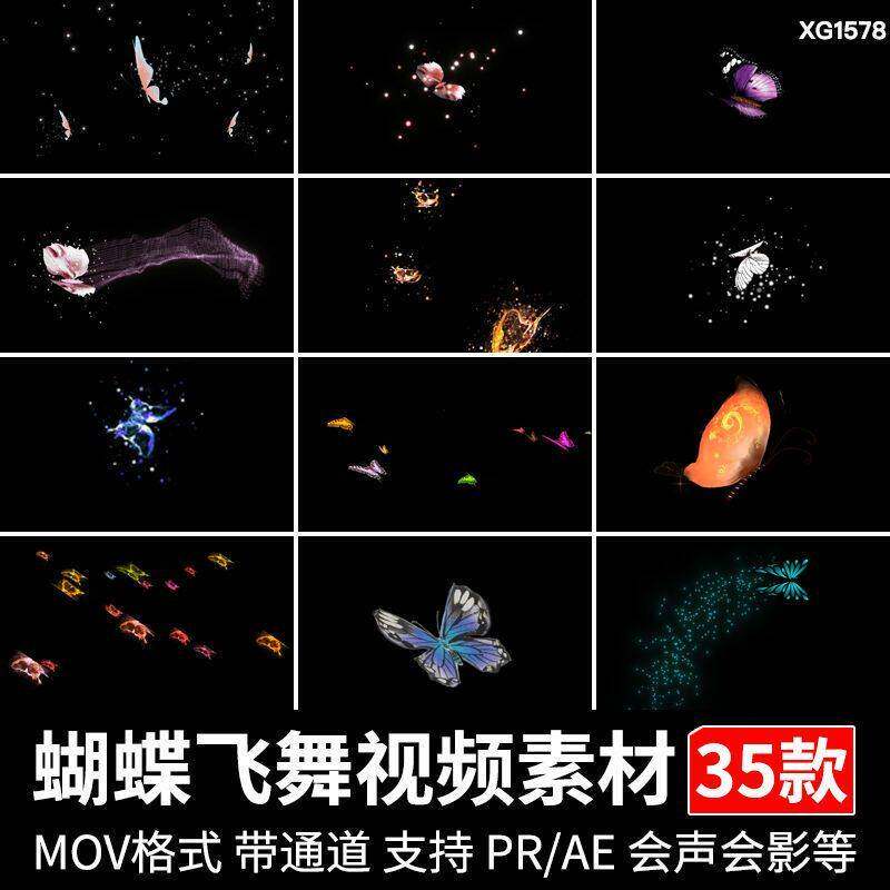 蝴碟飞舞蝴蝶群拖尾粒子动画特效MOV带透明通道PRAE态动影片素材