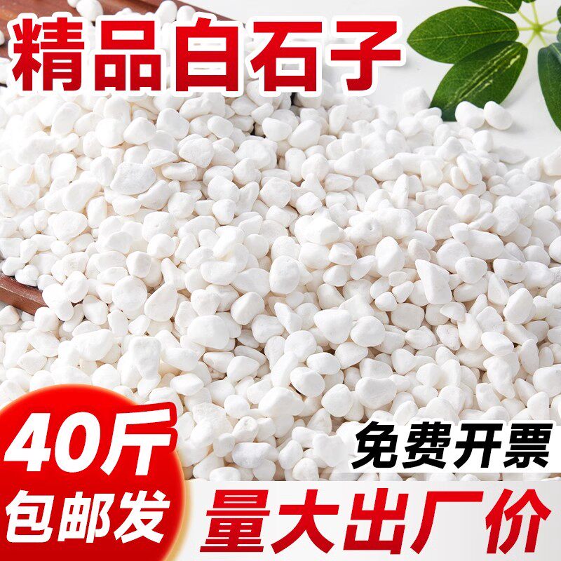 白石子造景石子白色鹅卵石石头南京雨花石鱼缸多肉铺面水培郁金香图片