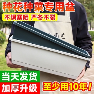 花盆种菜盆蔬菜种植神器草莓盆栽专用箱长方形家用塑料长条盆阳台