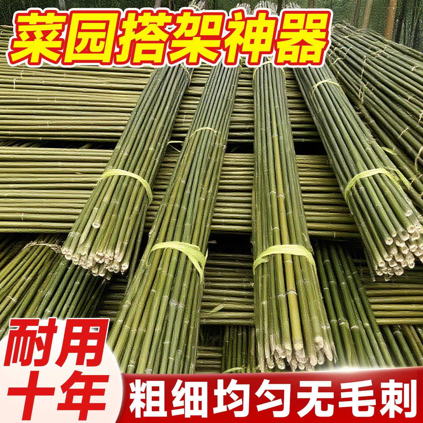 竹竿菜园搭架小竹子细竹竿蔬菜黄瓜丝瓜番茄豆角爬藤花架篱笆栅栏
