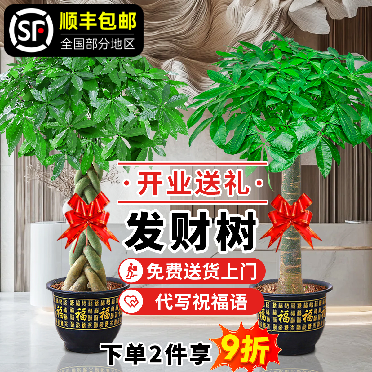 发财树大棵客厅大盆栽大型绿植室内办公室盆景好养活乔迁开业植物