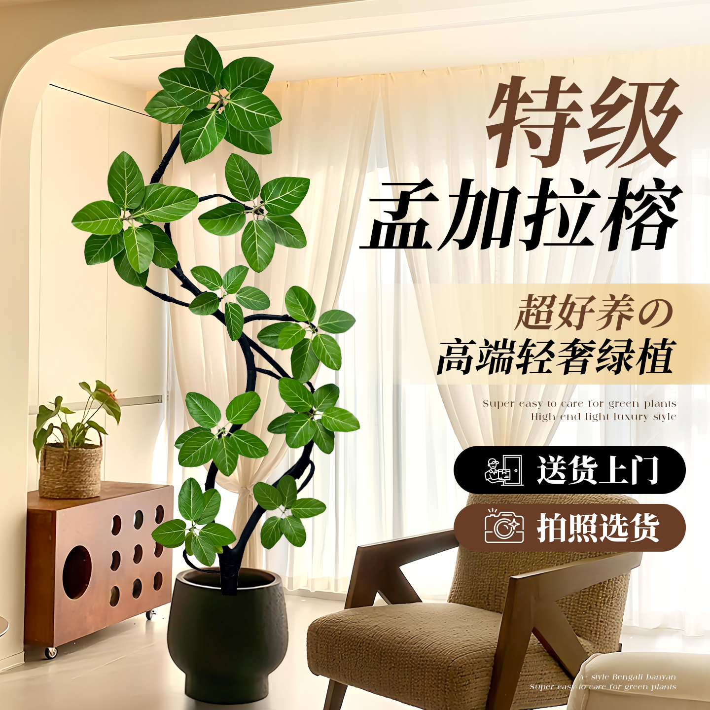 25新款氛围软装特级造型孟加拉榕