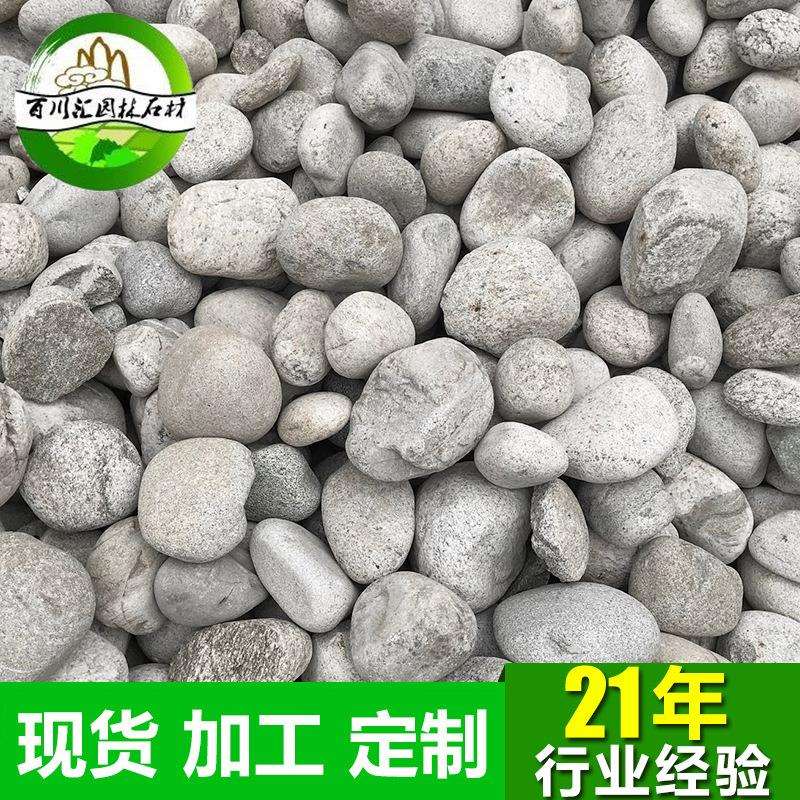 厂家直销 现货白麻石米 机制白麻石米 白色花岗岩 白麻石