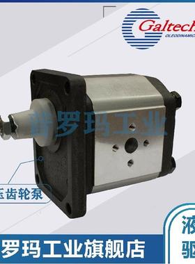 意大利GALTECH齿轮泵2SP-A-160 110 140 190-SAEA OR ENR B80C-14
