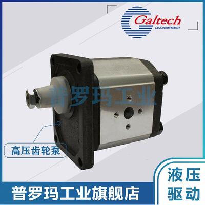 意大利GALTECH齿轮泵2SP-A-160 110 140 190-SAEA OR ENR B80C-14
