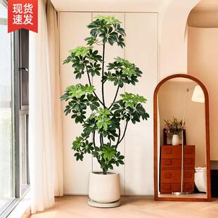 电视柜旁边落地摆件大型室内客厅沙发旁边假植物鸭脚木仿真绿植