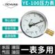 瓦斯真空表 YE100负压膜盒压力表 0KPA亿川