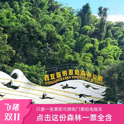 [西双版纳原始森林公园-大门票+往返电瓶车]大门票+往返电瓶车