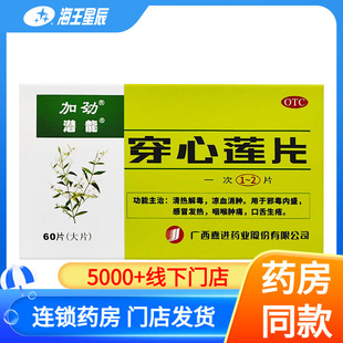 潜龙 加劲穿心莲片60片 咽喉肿痛感冒发热清热解毒消肿口舌生疮