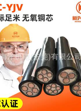 国标YJV铜芯电缆线23 4 5芯10 16 25 35平方三相四线新兴电线电缆