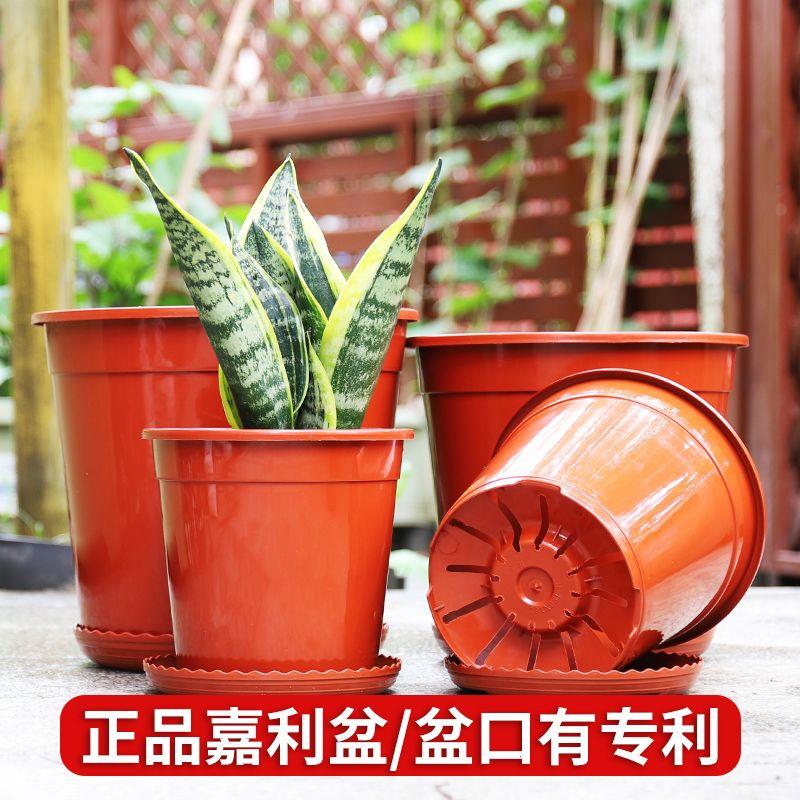 红色加厚育苗盆塑料控根
