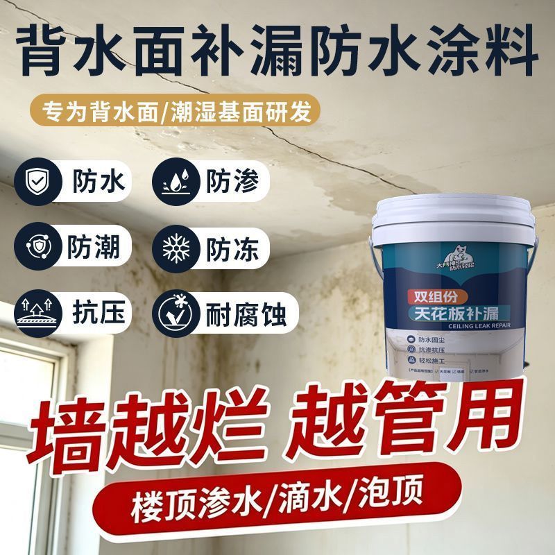 背水面负压防水材料补漏地下室防潮涂料内墙屋顶渗水返碱防水胶