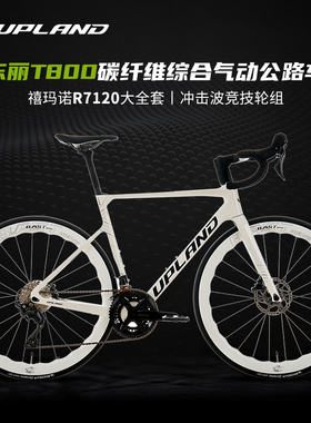 UPLAND阿普兰雷神air综合气动自行车油压碟刹白色全碳纤维公路车