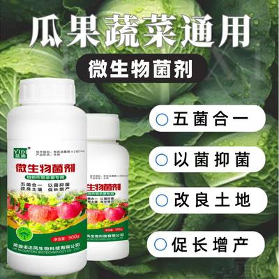 益迪微生物菌剂新型杀菌剂根腐枯黄灰霉病紫斑叶斑病农用杀菌剂