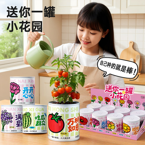 送你一罐小花园儿童桌面盆栽