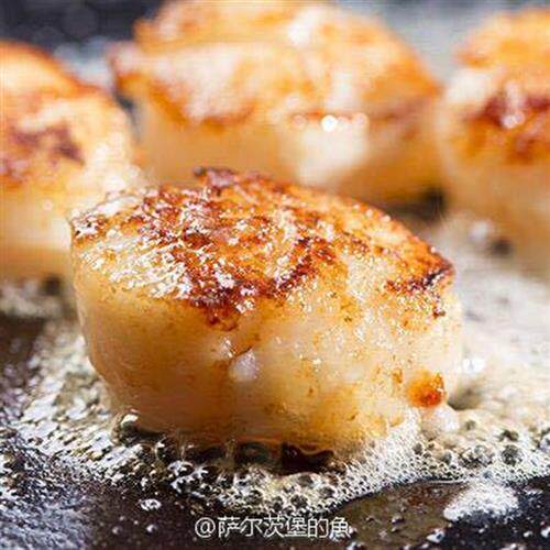 北海道原浆帆立贝大号带子虾夷贝扇贝瑶柱贝柱