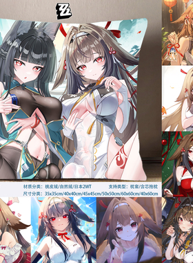 叶瞬光方枕ZZZ青溟剑剑主小光抱枕游戏周边日本2WT枕套靠枕桃皮绒