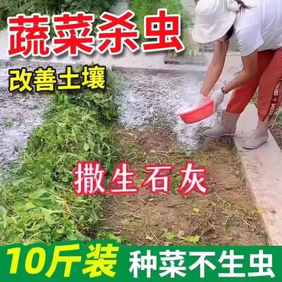 生石灰粉除虫杀菌净水干燥