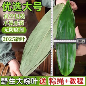 粽叶新鲜粽子叶大号包粽子专用干粽子叶大号真空包装商用厂家批发