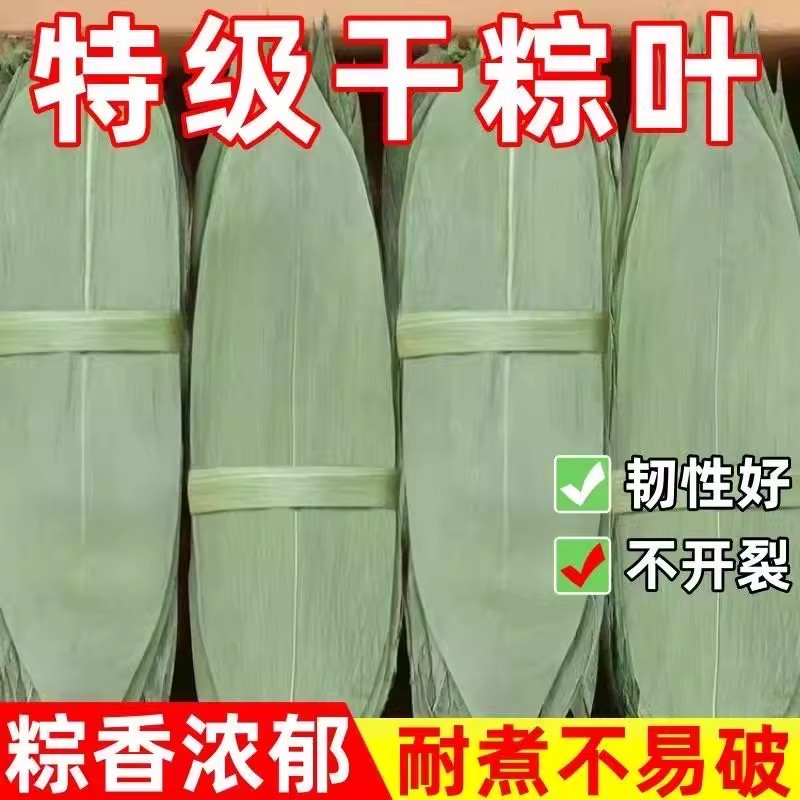 粽叶新鲜粽子叶大号包粽子
