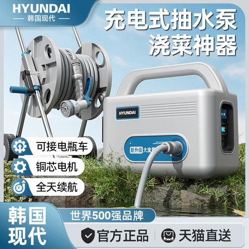 现代浇菜神器浇水机自动抽水泵