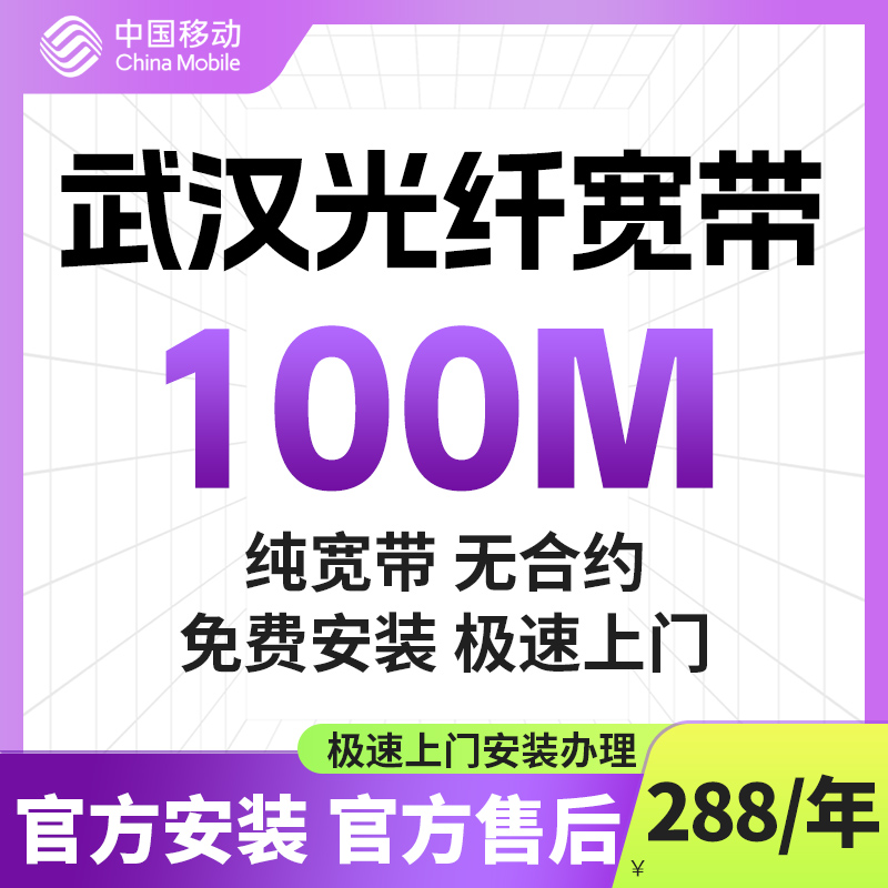 湖北武汉移动宽带办理上门300M