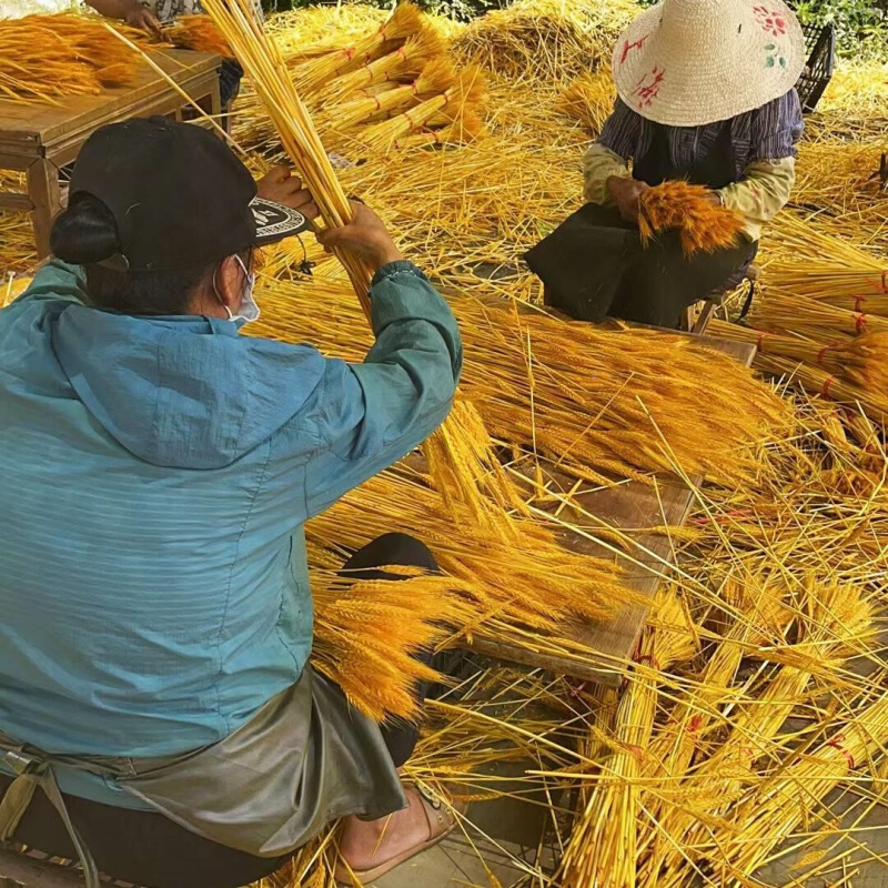 定制干花麦穗天然金色花束开业大麦客厅田园装饰摆件礼盒插花花蓝 鲜花速递/花卉仿真/绿植园艺 干花 原图主图