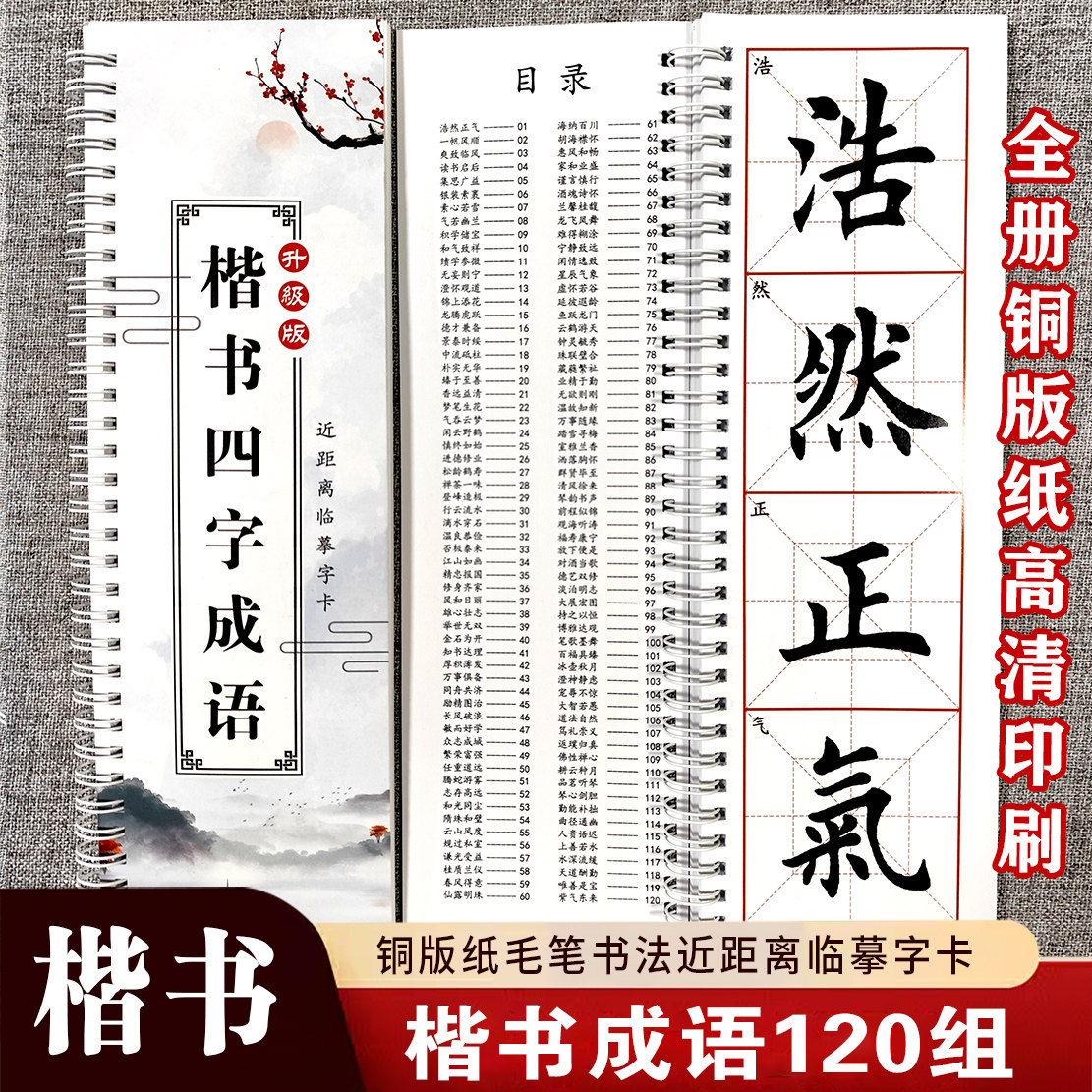 毛笔书法楷书（楷书四字成语）铜版纸近距离书法成语毛笔字帖