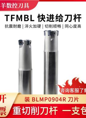 特固克BLMP0904R内冷外冷快进给进给双面刀杆TFMBL25 30 33 35 40