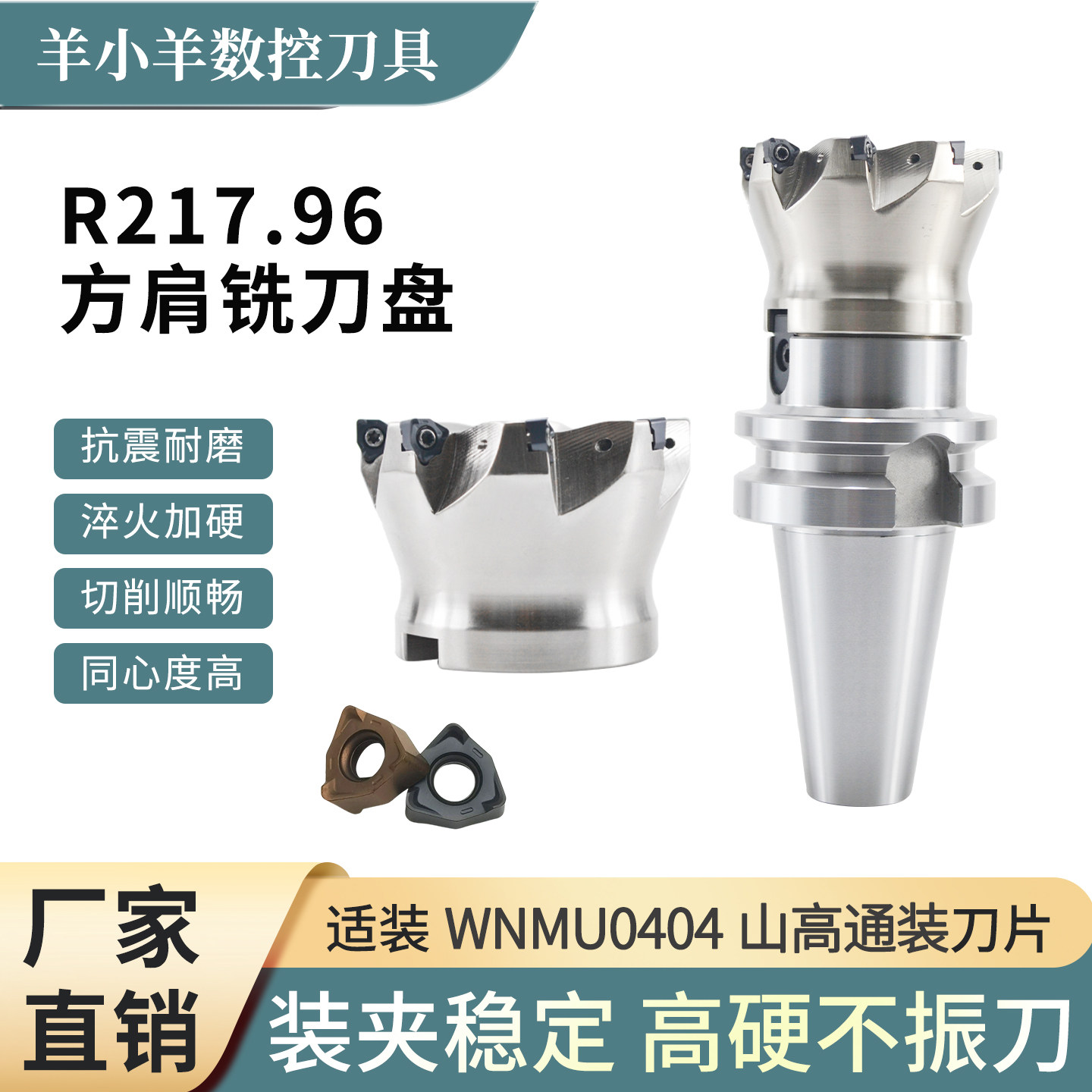 R217.96快进给立铣刀杆刀盘图片