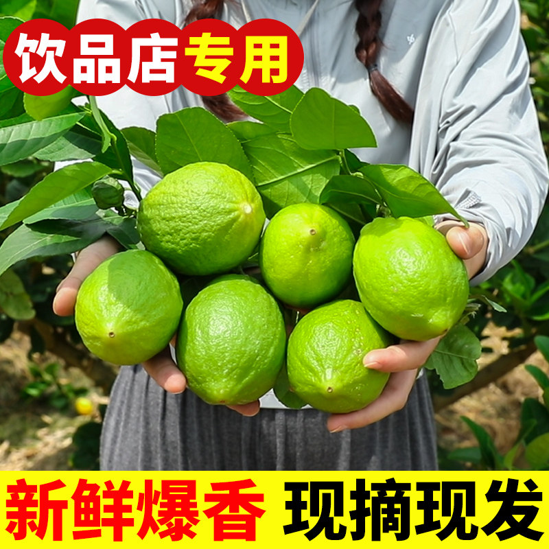 正宗广东香水柠檬奶茶店专用新鲜现摘一级果沙田无籽青柠檬薄厚皮使用感如何?