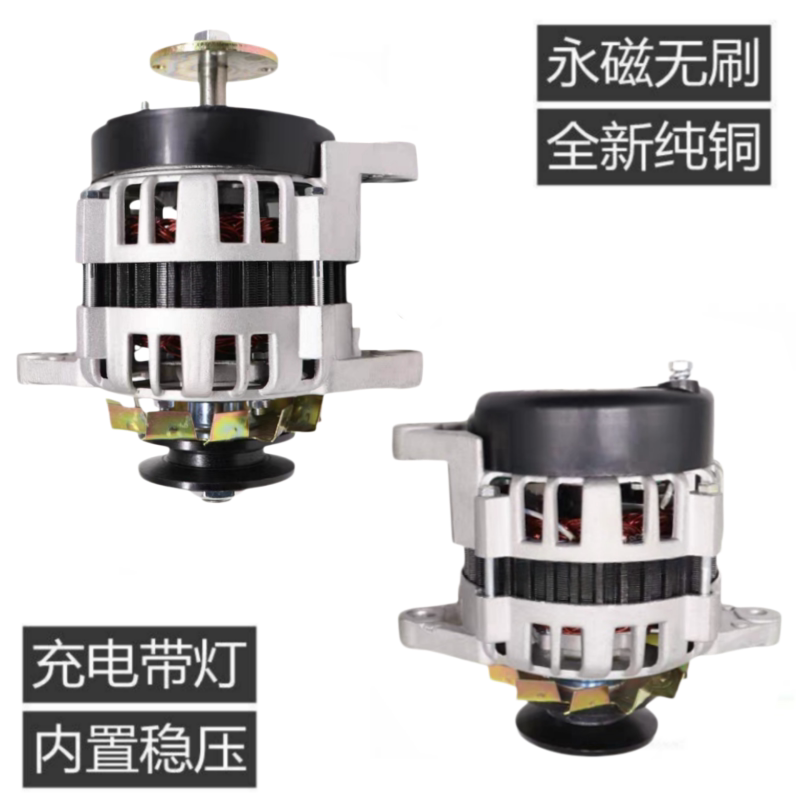 纯铜农用车三轮车四轮拖拉机改装用充电带灯12V24V永磁直流发电机