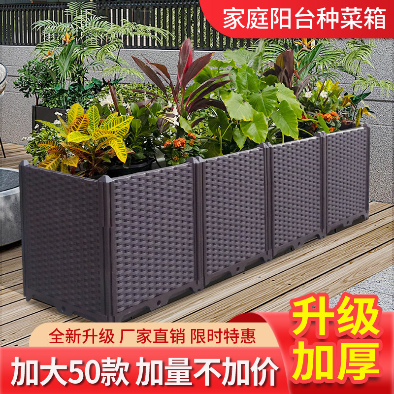 50宽加深种树箱阳台蔬菜种植箱户外花箱种菜盆种菜专用箱塑料花盆