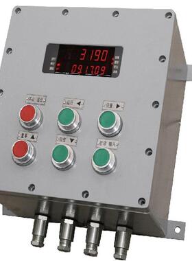 防爆仪表XK3190-Ex-C8G隔爆型称重显示器RS485输出防爆仪表