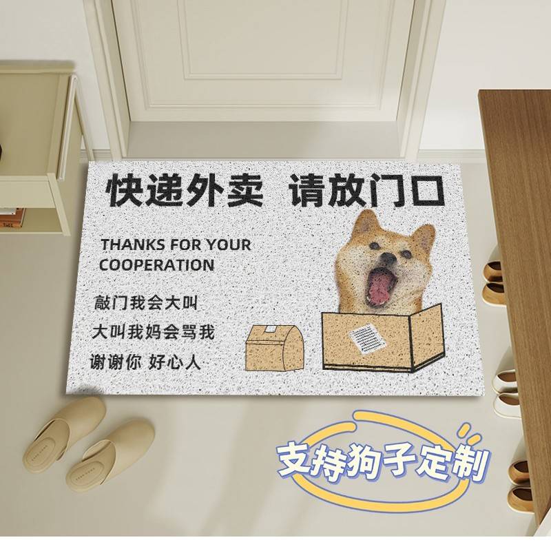 快递外送请放门口地毯门狗狗丝圈入户土地垫进门前门外蹭免洗脚垫