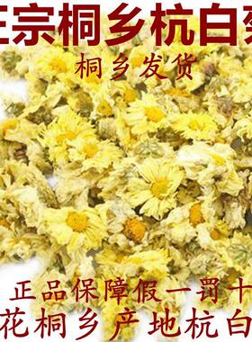 健康花茶新花正宗桐乡特产杭白菊朵花胎菊菊花茶250g500g朵杭菊茶