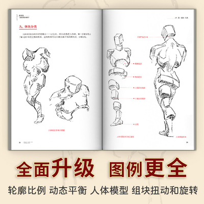 伯里曼人体结构绘画教学 3D模型理解人体形态 人体结构造型手绘技法艺用画手解剖构人物素描速写临摹基础入门书籍动漫画册美术教材