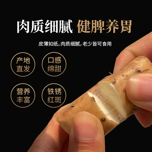 温县铁棍山药垆土地农户直发